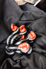 Shakles with Red Dot