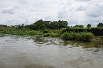 Obraz premium Tropische Wasserlandschaft in Costa Rica