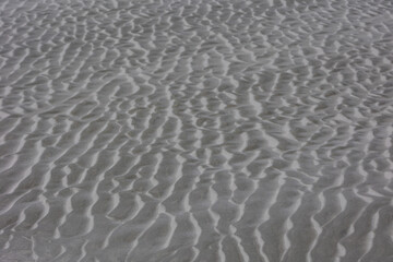 Wet brown sand on the beach in summer, Beautiful structure texture on the sand with lines or ripples, Nature pattern with free copy space, Can be used as background, Display or montage your products.