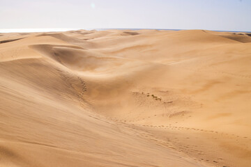 Eine Reise auf Gran Canaria. Die Dünen von Maspalomas