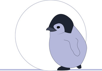 Little chubby cute penguin vector.