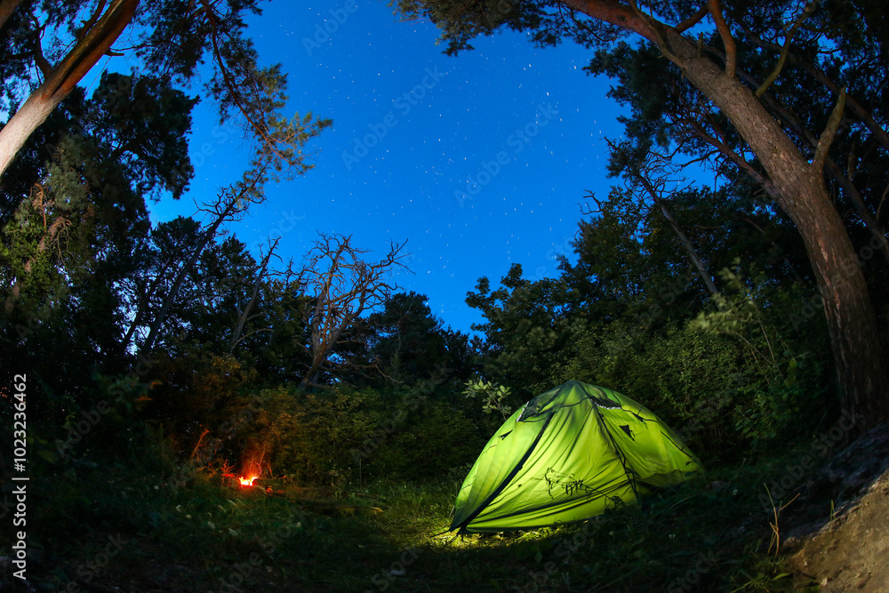 Canvas Prints Modern camping tent and bonfire in forest at night. Fisheye lens effect