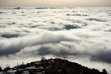 Snow-covered mountain slope with scattered rocks and trees. Landscape bathed in soft sunlight, while dense layer of clouds stretches out below, creating dramatic and ethereal scene.