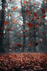 Autumn leaves falling plant leaf.