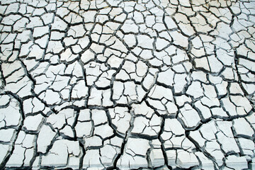 Cracked Dry Earth Surface Close-Up