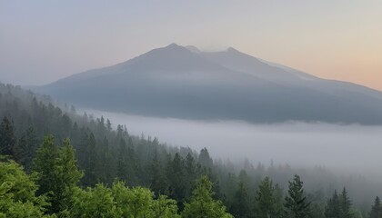 misty morning in the mountains