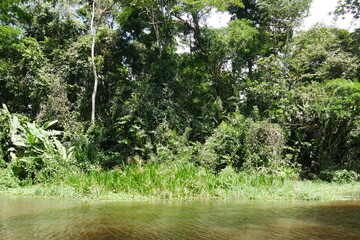 Tropische wilde Wasserlandschaft in Costa Rica in Mittelamerika