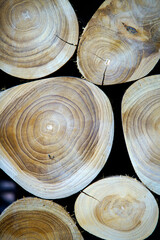 Obraz premium Close-up of Natural Wood Logs with Unique Patterns