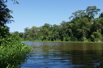 Urwald und Wasser in Tortuguero in Costa Rica