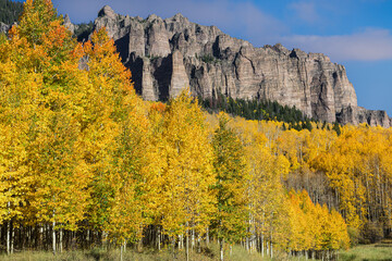 Beautiful Autumn Color in the Colorado Rocky Mountains. Autumn landscape of the Cimarron Ridge in...