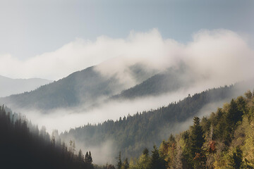 Nature view- 17