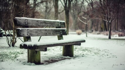 Winter Serenity in a Park with Snowflakes