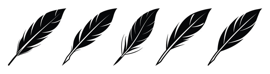 Black fluffy feather. Hand drawing vintage art realistic quill feathers for pen detailed isolated vector elegant silhouette sketch bird plume set
