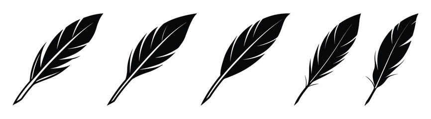 Black fluffy feather. Hand drawing vintage art realistic quill feathers for pen detailed isolated vector elegant silhouette sketch bird plume set