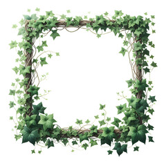 Fototapeta premium wall Frame of ivy vines with leaves isolated on a transparent background