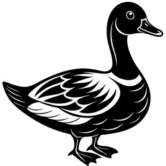 duck isolated on white background silhouette vector illustration
