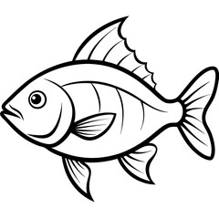 fish isolated on white vector illustration