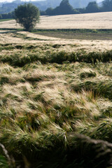 lanscape in south belgium