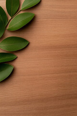 Obraz premium Elegant green leaves arranged on a wooden surface for a natural aesthetic