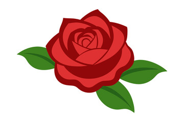 Rose | vector illustration on white background