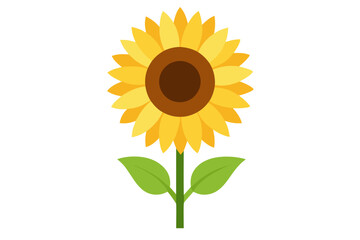 Sunflower | vector illustration on white background