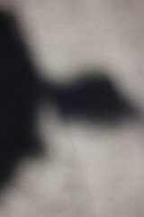 A vague view of the shadow of a person on the sidewalk.