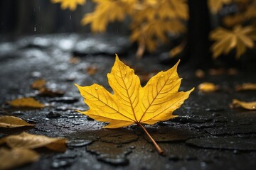 Bright Yellow Leaf on a Background of Black Leaves, Rainy Day and Nature Contrast