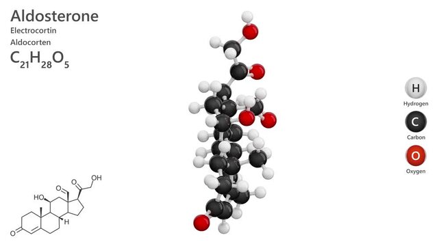 Molecule of Aldosterone (C21H28O5) is a pregnane-based steroidal hormone,secreted by the adrenal cortex that regulates electrolyte and water balance. Model: Ball and Stick. White back. 3D render