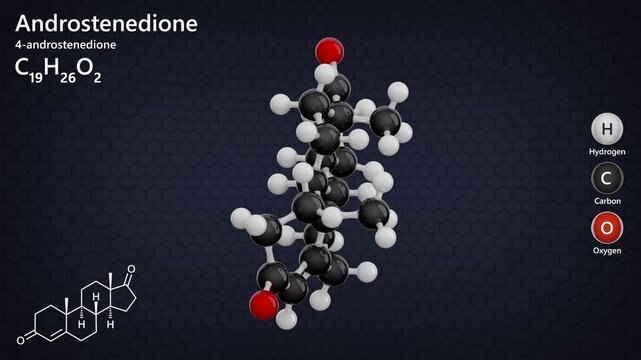 Molecule of Androstenedione (C19H26O2) is a steroid hormone synthesized in the adrenal glands and gonads. It has a role as an androgen, a human metabolite. Model: Ball and Stick. Dark back. 3d render