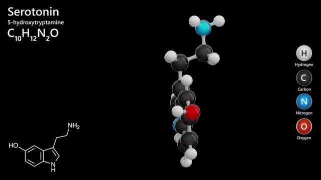 Molecule of Serotonin (C10H12N2O), is a key neurotransmitter derived from the amino acid tryptophan. it regulates mood, appetite, and sleep. Chemical model: Ball and Stick. Black back. 3D render