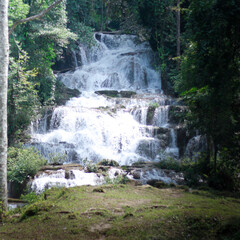 waterfall in the forest