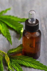CBD oil. Removing eye dropper of CBD hemp oil from bottle with marijuana leaves and wood in background .