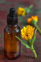 Calendula flowers and amber glass dropping bottle with essential oil. Marigold medicinal plant,...