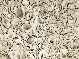 Nature shell stone texture with visible inclusions of shells. Texture of natural shell rock as a background. Close-up. Coquina wall texture. wall in the holes.