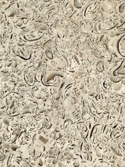 Nature shell stone texture with visible inclusions of shells. Texture of natural shell rock as a...