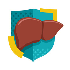 Liver support - nutrient supplement, organ in shield shape