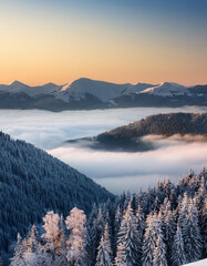 Obraz premium Aerial view of a fantastic winter landscape glowing by sunlight. Dramatic wintry scene.