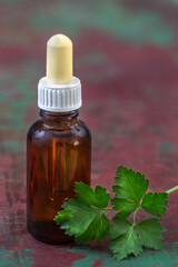 Parsley essential oil with fresh , leaves, on rustic wooden table, copy space, natural remedy for kidney, heart, menstrual, is good for skin and hair care