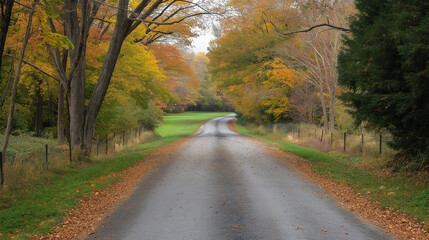 Fototapeta premium A tree-lined country road in autumn, with colorful leaves scattered across the ground