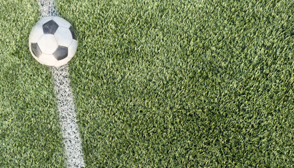 The ball in grass. The sideline. Fresh green grass. Black and white ball.