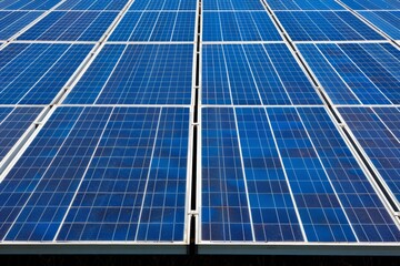 Obraz premium Close-up of solar panels, arranged in neat rows, capturing the sun's energy for clean power.