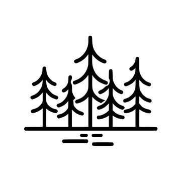 Minimalist illustration of a pine tree forest in simple black lines on a white background.