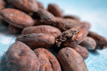 Raw cocoa beans in close-up
