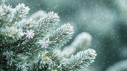 Snow-dusted pine branches under a gentle flurry
