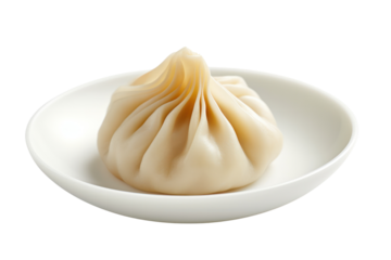 Close-up shot of a single, perfectly steamed dumpling with delicate pleats, placed in the center of a white background.