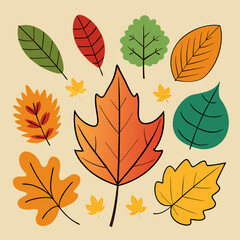 A vibrant collection of autumn leaves in various shapes and colors, perfect for adding a touch of fall to your designs.  These hand-drawn illustrations are ideal for seasonal projects.