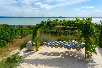 wine grape on field with beautiful lake Balaton view and a grape statue