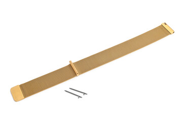 Gold metal watch band