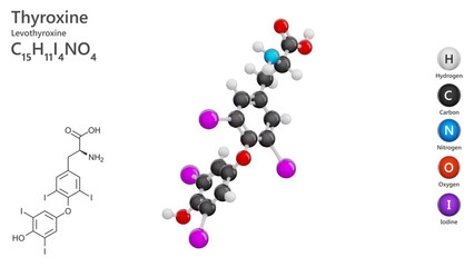 L-Thyroxine (C15H11I4NO4) or levothyroxine, is a synthetic form of the thyroid hormone thyroxine. It plays a crucial role in regulating metabolism and energy levels. White back. 3d illustration