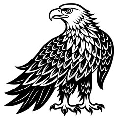 eagle vector illustration